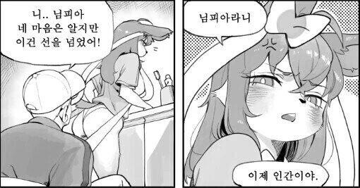 포켓몬) 님피아 만화 이 장면 좀 귀엽지 않냐 ㅋㅋ