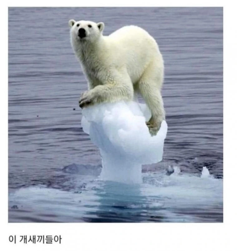 ㄱㄱ놀이하는 manhwa - 이미지 3