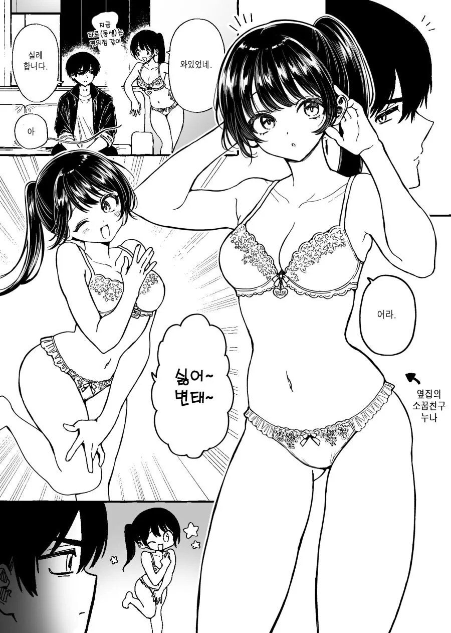 옆집누나는 노멀1성이라는 만화