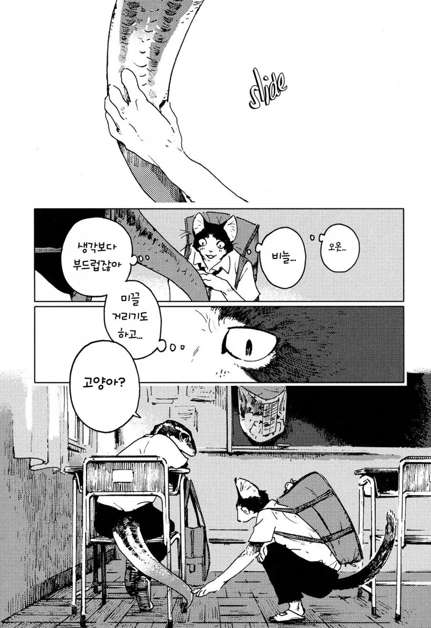 나가베)고양이와 도마뱀의 수인 만화 - 이미지 5