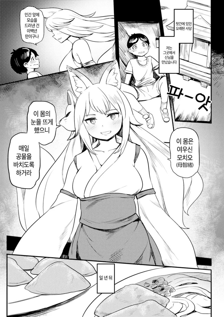 여우신 살찌우는 만화