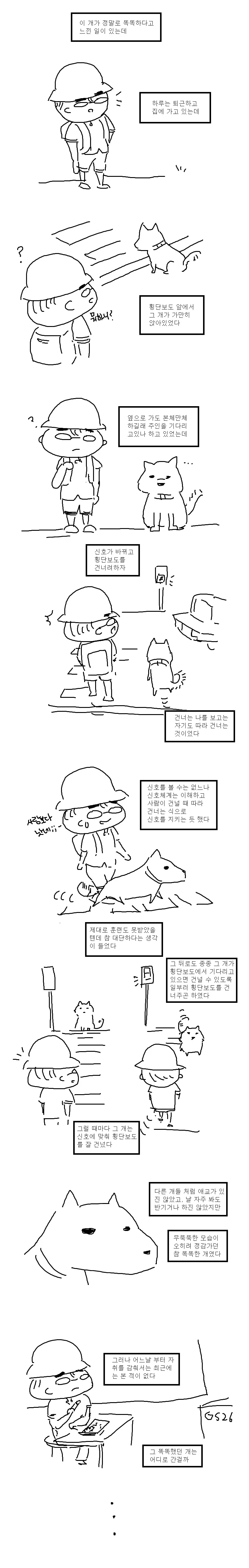동네 똑똑했던 시골 댕댕이.manhwa - 이미지 2