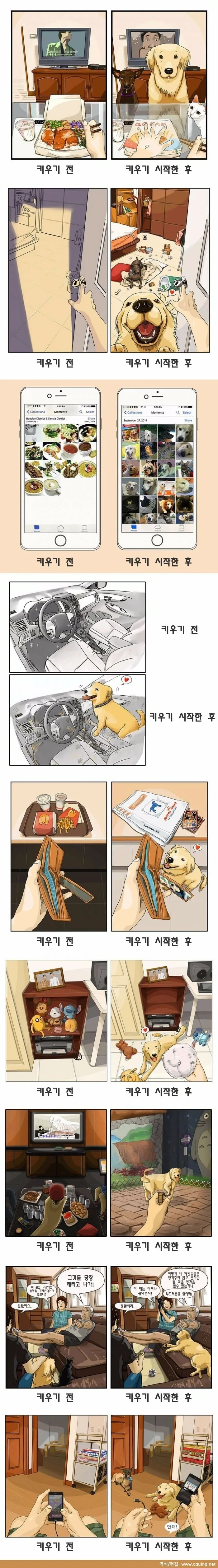 포켓몬)훌렁 훌렁.jpg 이미지 5