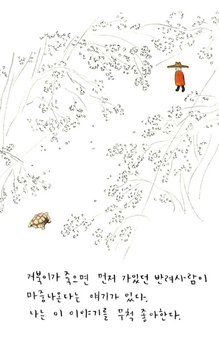 오랫동안 키운 거북이가 죽어서 슬픈 만화.manhwa - 이미지 11