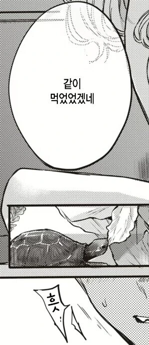 오랫동안 키운 거북이가 죽어서 슬픈 만화.manhwa - 이미지 14
