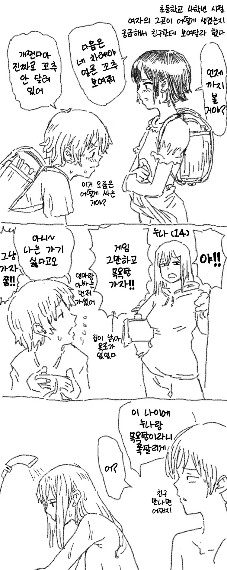 ㅎㅂ) 누나 ㅂㅈ털 보는 만화