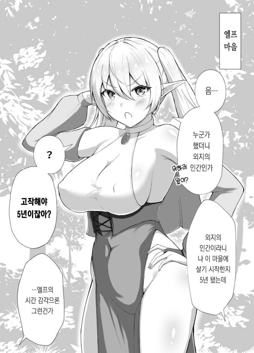 반푼이 엘프와 결혼한 용병 만화 이미지 4