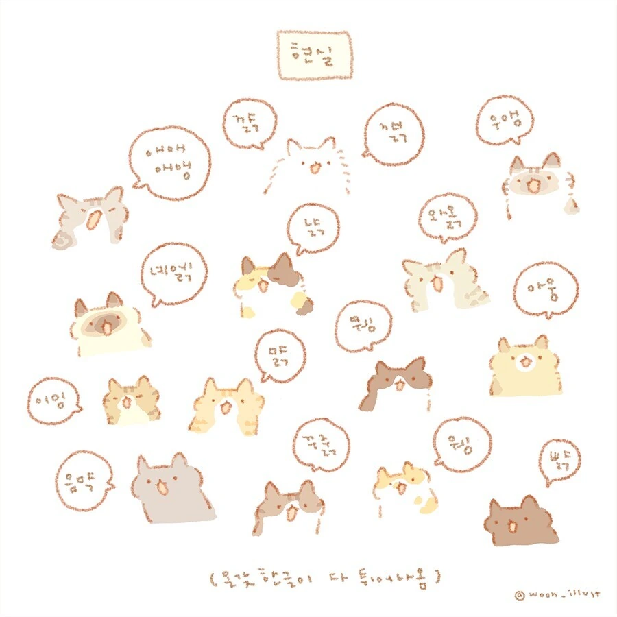 고양이는 야옹 냐- 하고 울지 않는다 - 이미지 2