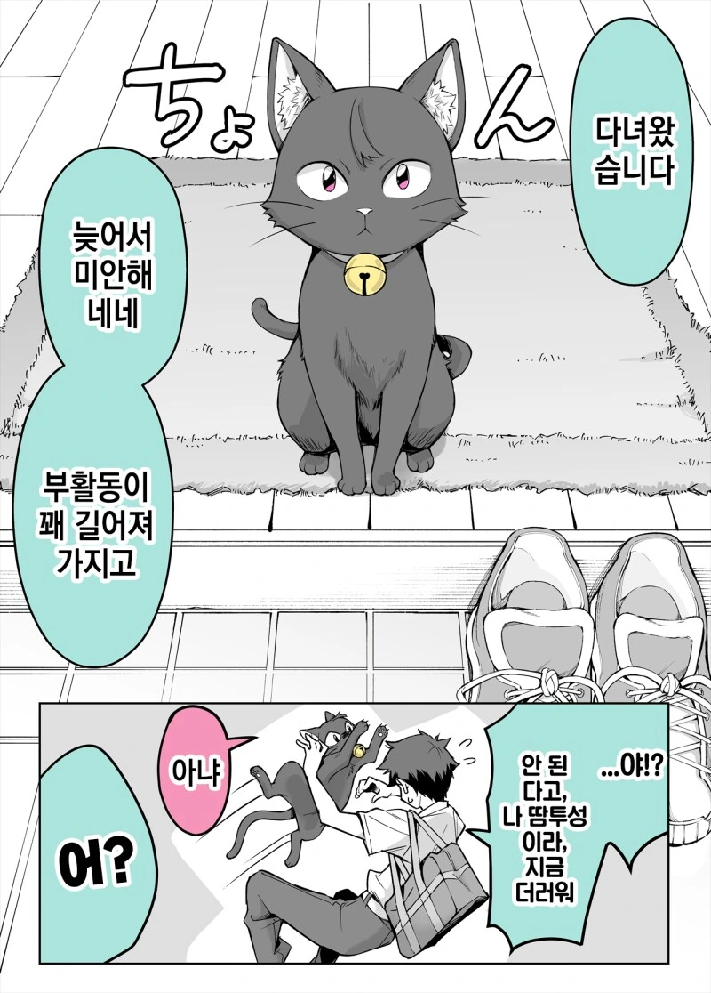 사랑이무거운 얀데레 집 고양이 만화
