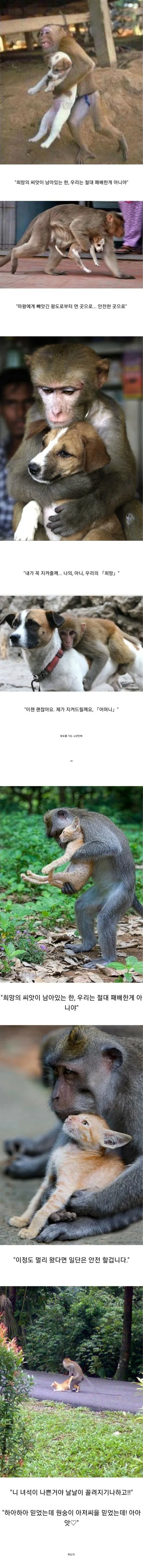 소년 만화와 ㄸㅇㅈ의 차이.jpg