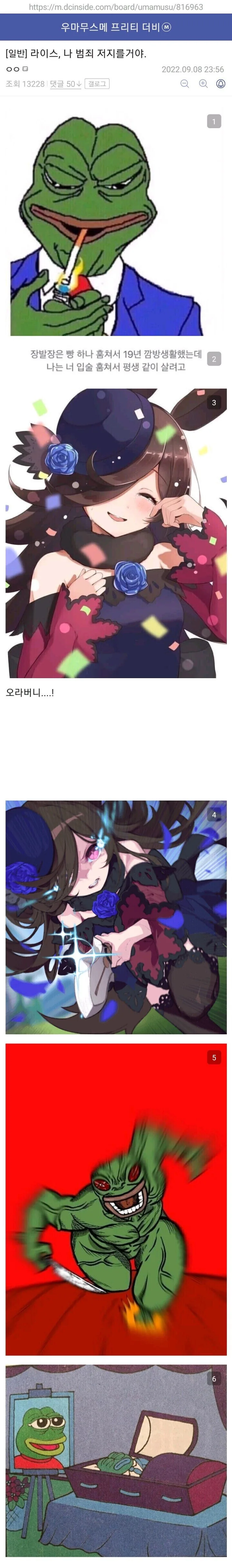 말딸) 라이스, 나 범죄 저지를거야