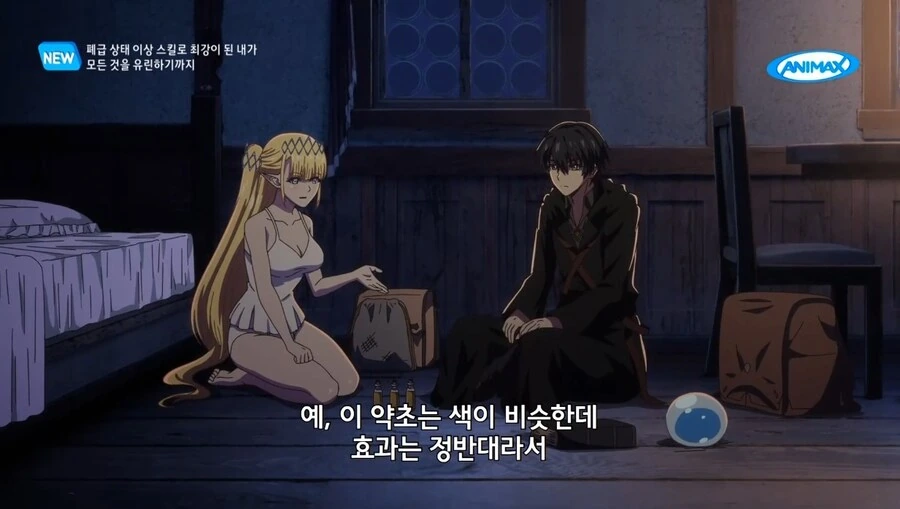 정력에 좋다고 하는 엘프