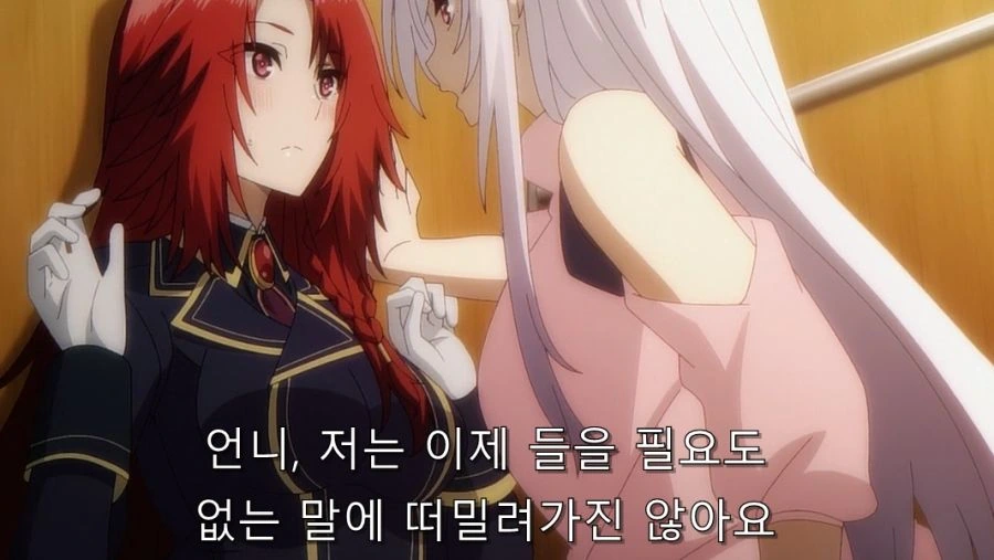 ㅅㅇ 사는 걸 반대하는 언니에게 허락 맡는 방법 - 이미지 52