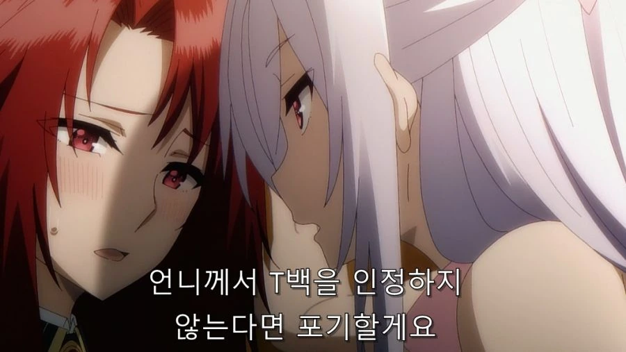 ㅅㅇ 사는 걸 반대하는 언니에게 허락 맡는 방법 - 이미지 56