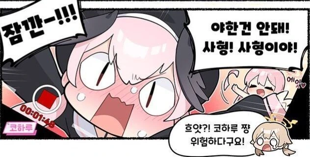 ㅇㅎ건 안된다고 하능 캐릭터 특징
