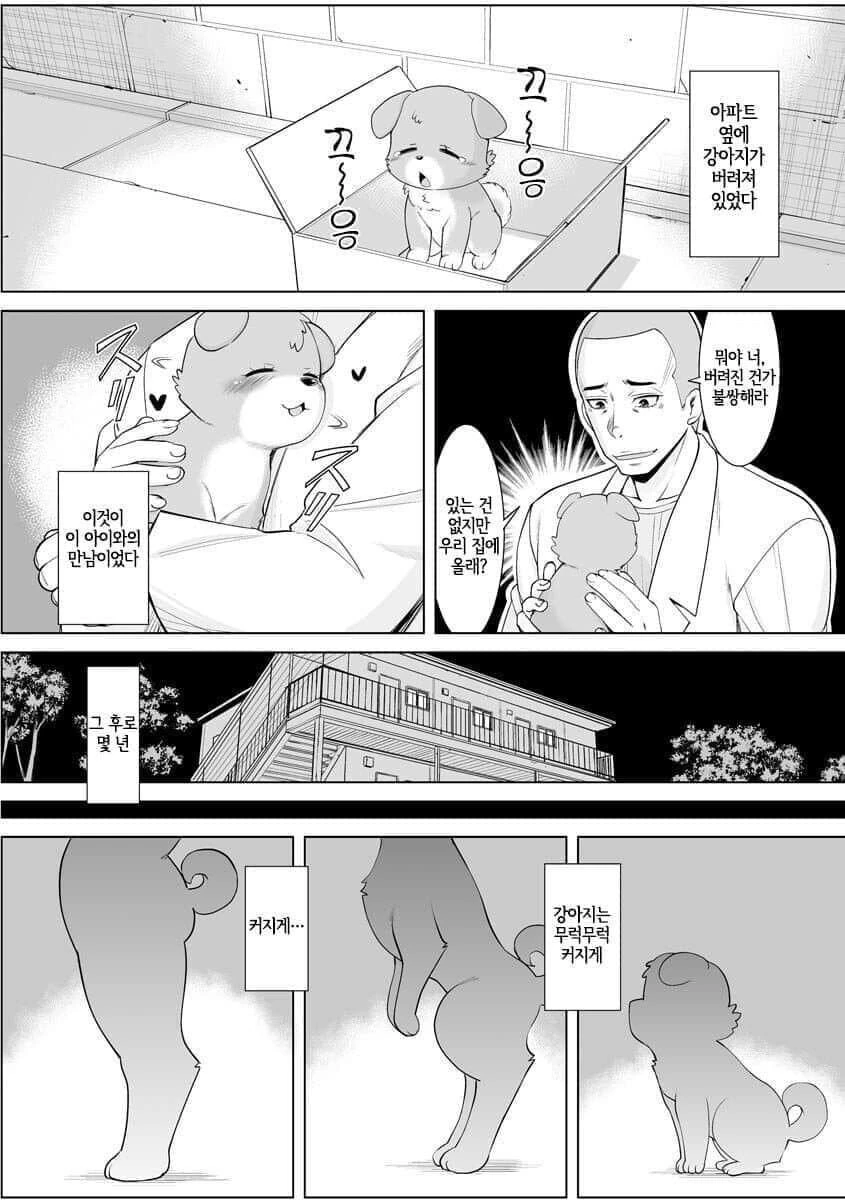 버려진 강아지를 줍는 만화.manga