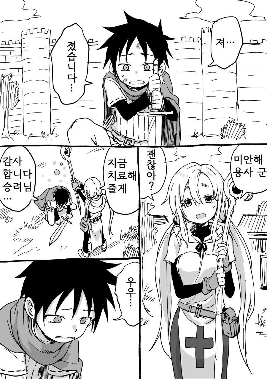 만렙 힐러님 만화