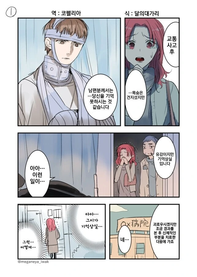 폭력남과 불륜녀가 병원에 입원하는 만화.manwha