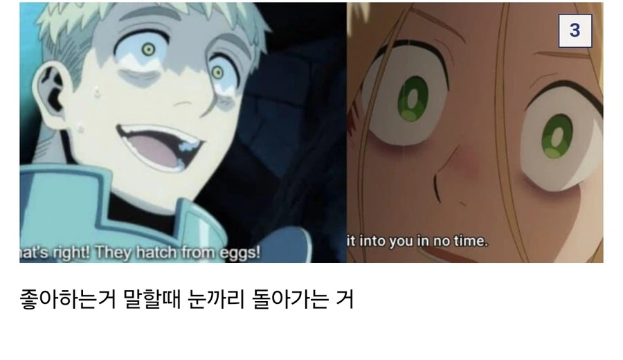 던전밥) 양덕이 찾은 라이오스와 마르실 공통점 - 이미지 3