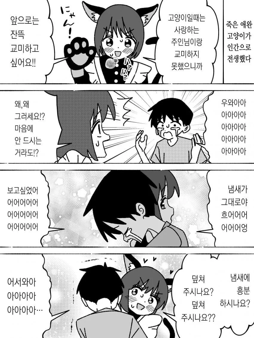 죽은 고양이가 전생해 집사 앞에 나타난 .manwha