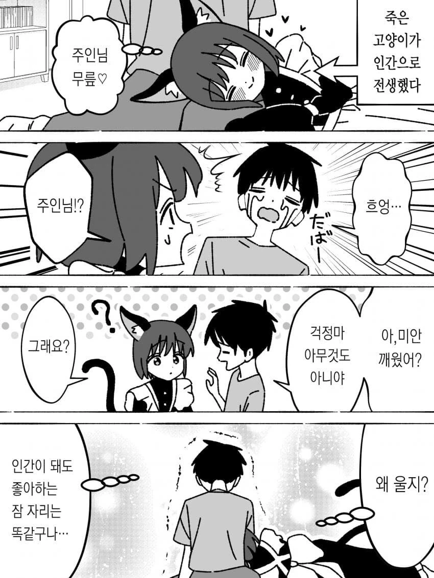 죽은 고양이가 전생해 집사 앞에 나타난 .manwha - 이미지 3