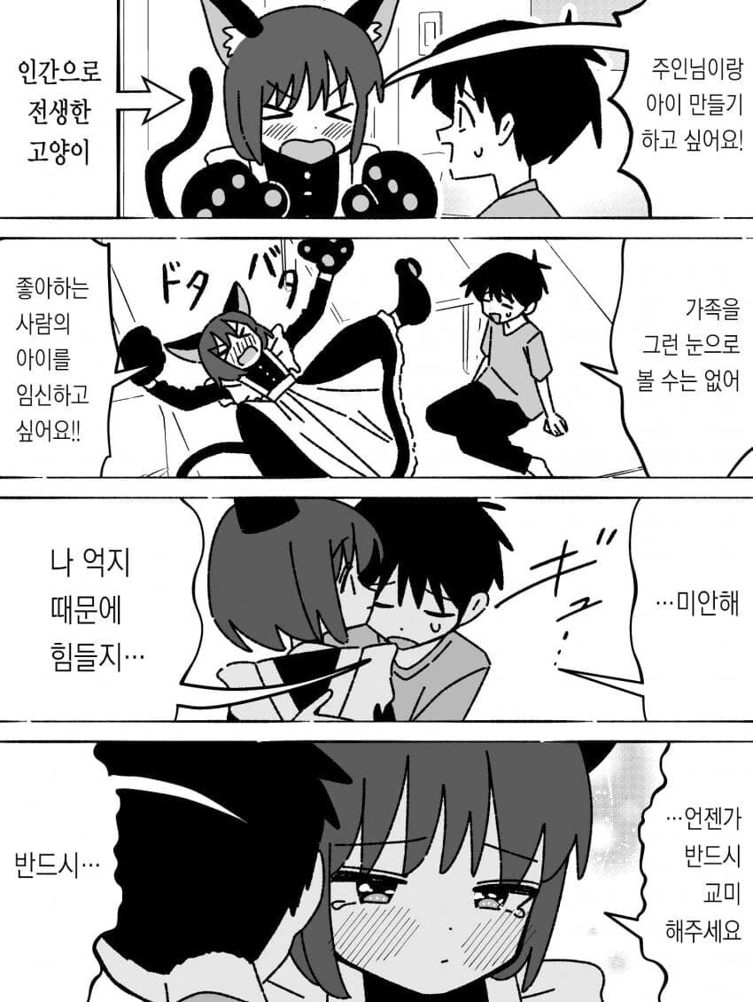 죽은 고양이가 전생해 집사 앞에 나타난 .manwha - 이미지 4
