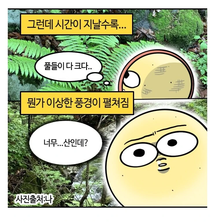 유부녀가 산에서 산책하다 조난당하는 만화.manhwa - 이미지 3