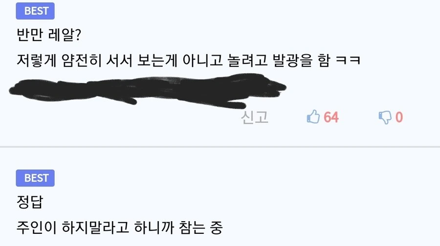애견 공원의 대형견 만화 - 이미지 4