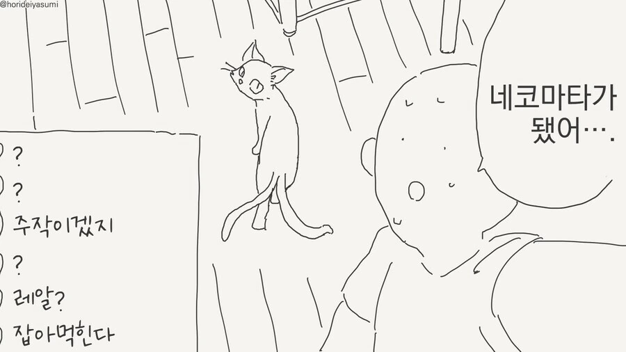 고양이(?) 와 동거.... manwha - 이미지 2