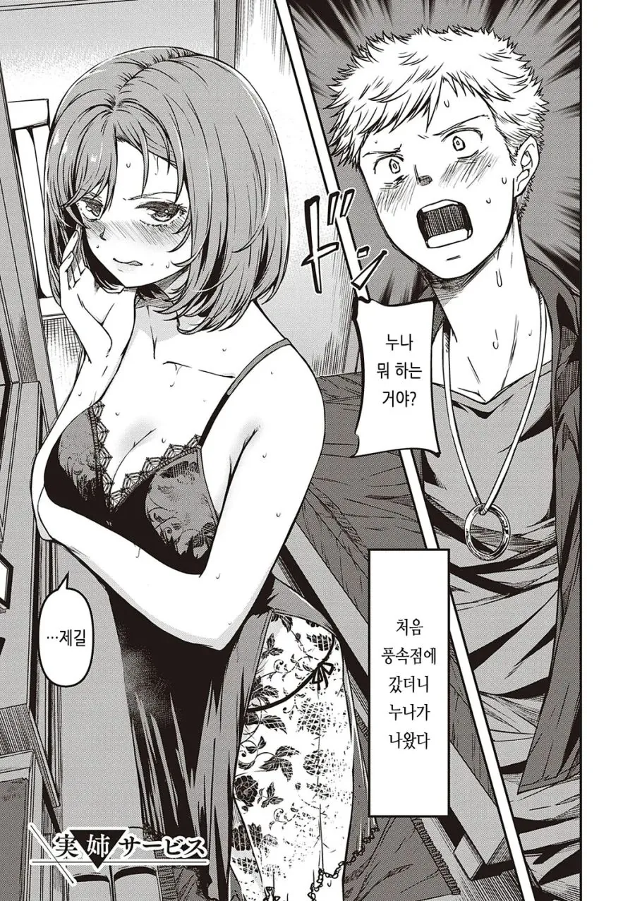 풍속점에 갔던니 누나가 있는 만화
