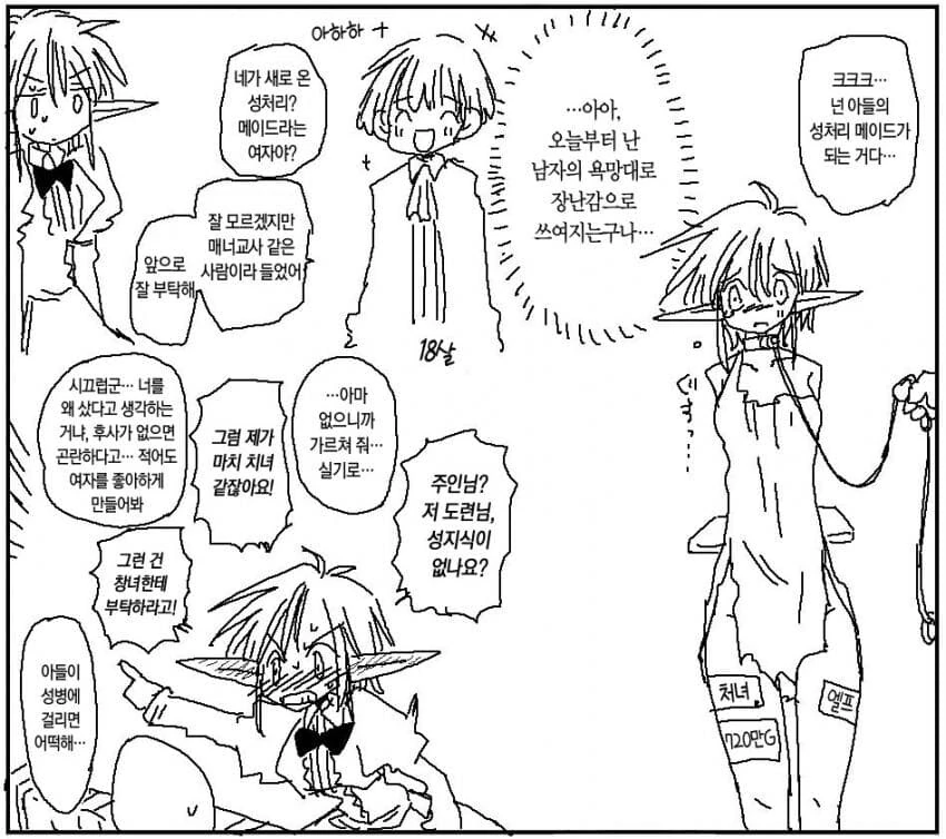 도련님의 성처리를 하려는 메이드.manga 이미지 19