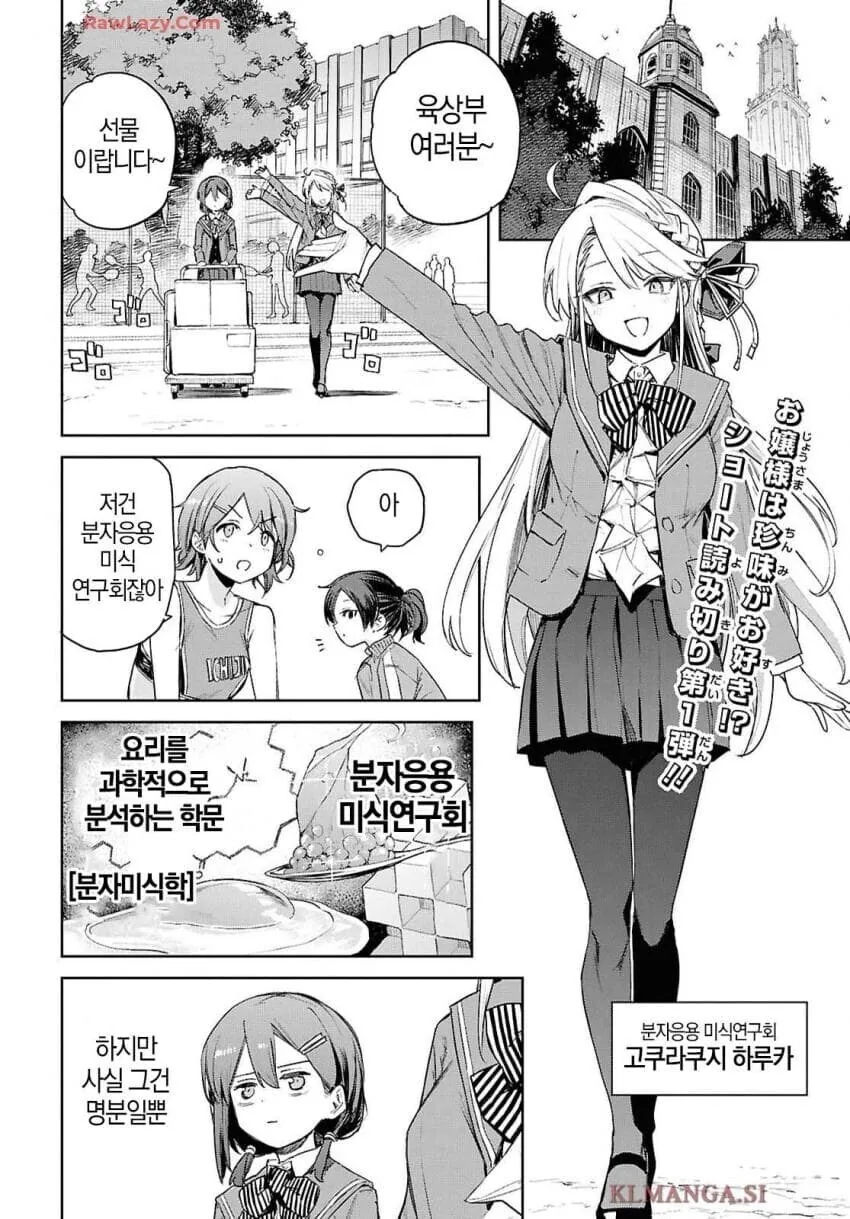 젓가락보다 무거운걸 들어본 적 없는 아가씨 manhwa 이미지 4