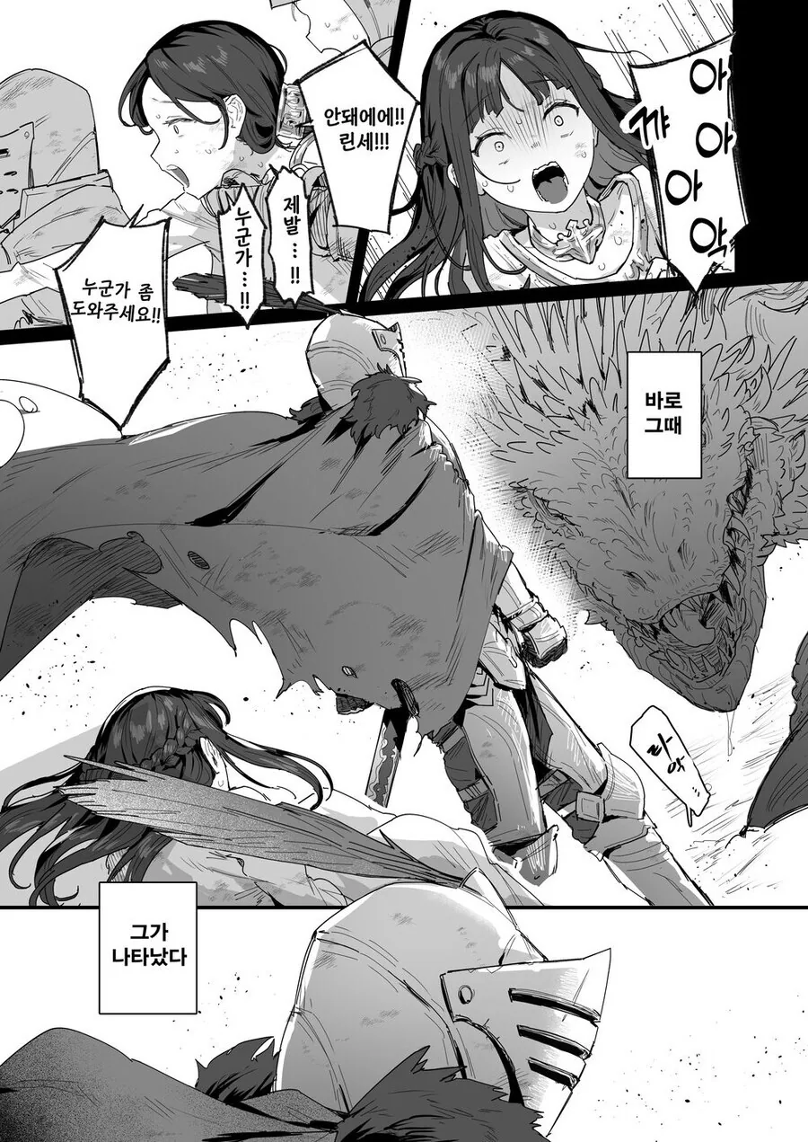 공주와 용사와 왕비님.manhwa