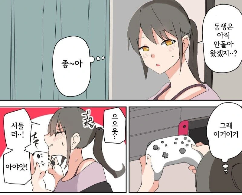 ㅎㅂ) 누나패드 만화