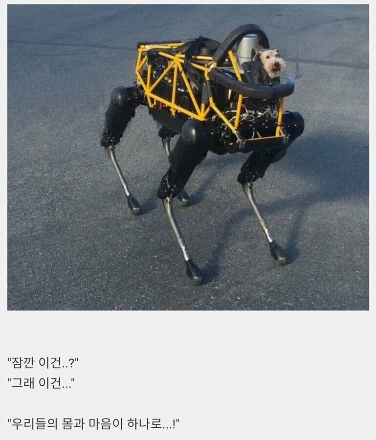 소년 만화 클리셰 - 이미지 4