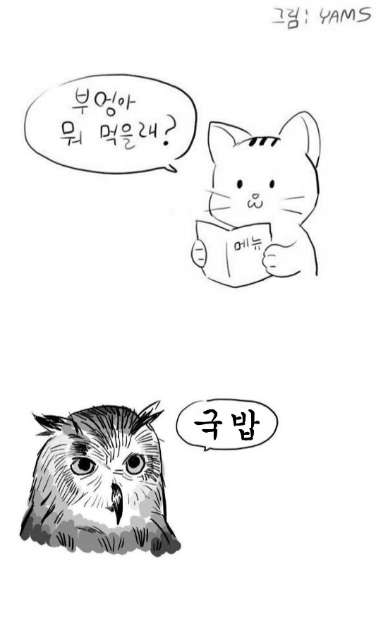 부엉이 탕수육 시켜먹는 만화.manhwa