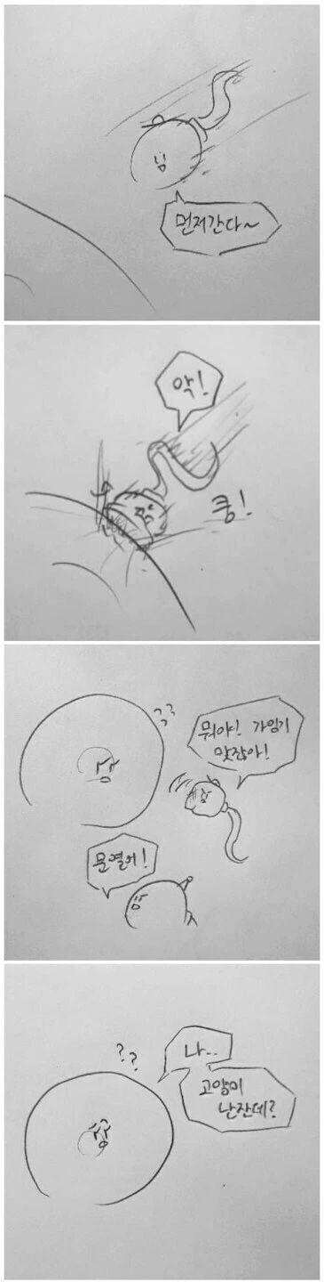 고양이 난자 만화