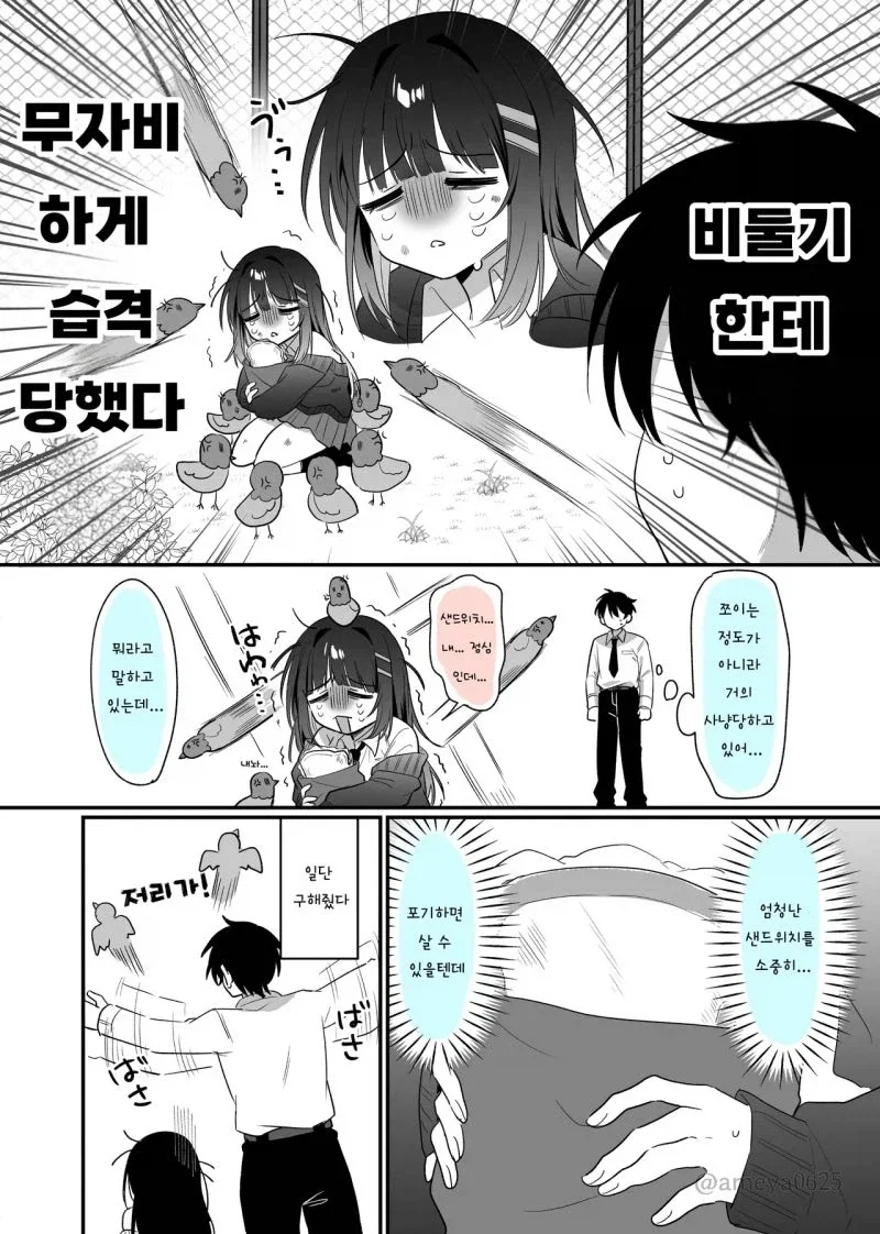 키작은 ㄱㅇ 전학생을 비둘기가 사냥하는 만화 - 이미지 2