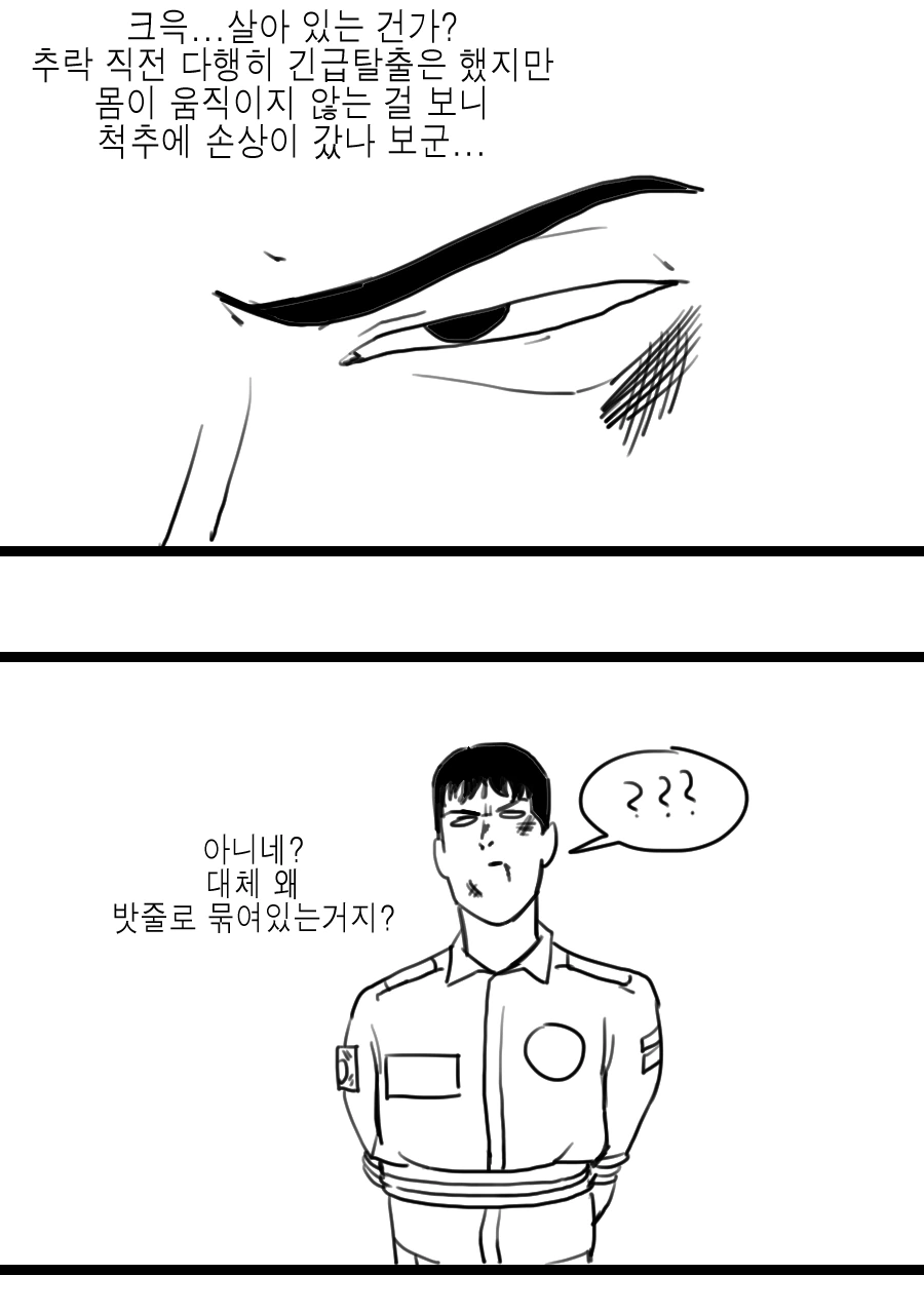 실종된 비행요원이 털 아내를 얻는 이야기.manwha - 이미지 3