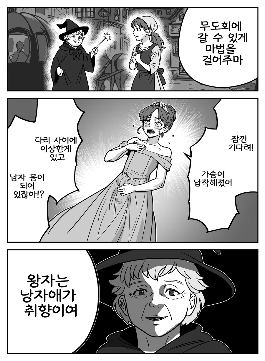 신데렐라에게 마법 걸어주는 마녀 .manwha