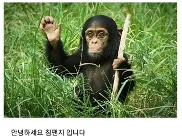 아줌마랑 데이트 하는.manga - 이미지 3
