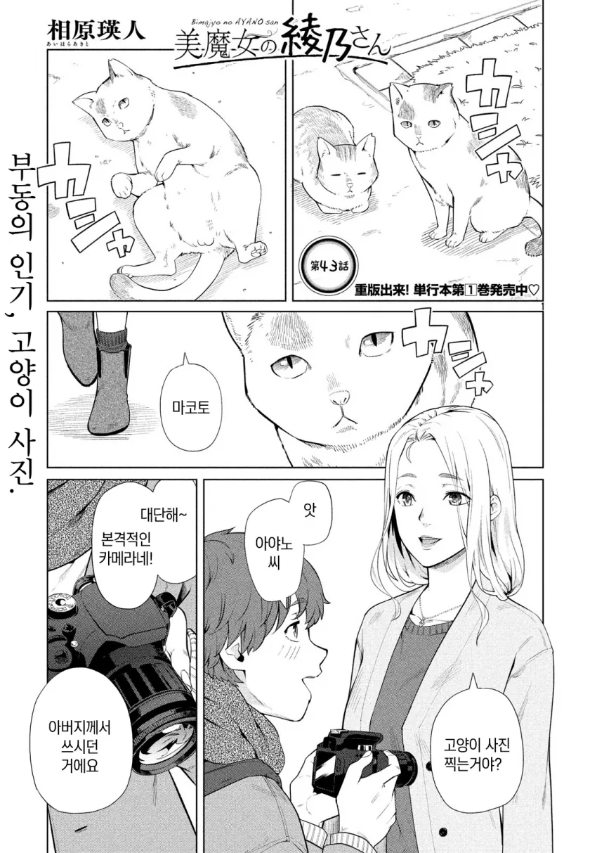 아들 친구가 길냥이 사진을 찍는걸 발견한 아줌마 만화.manwha