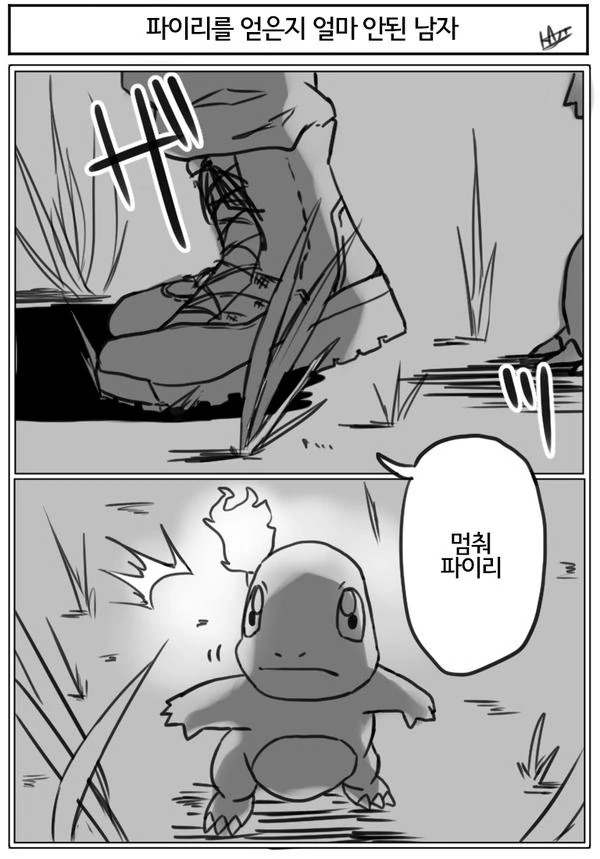 파이리를 얻은지 얼마 안된 남자.manga