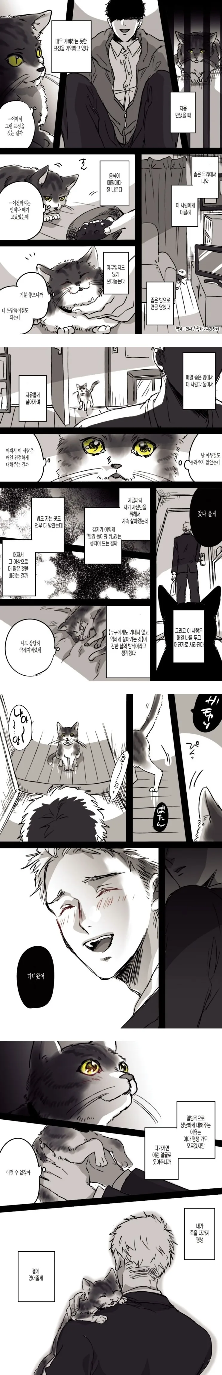 길고양이를 감금하는 인간.Manhwa