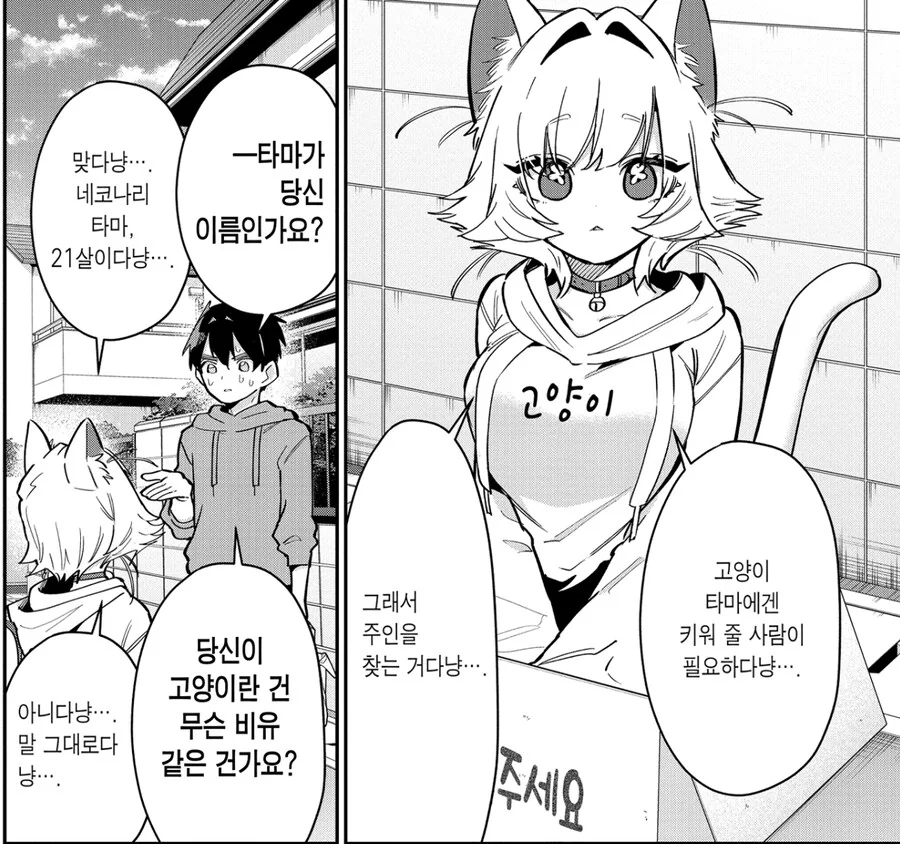여친100명) 일하기 싫어 고양이가 되버린 여인.manga - 이미지 4