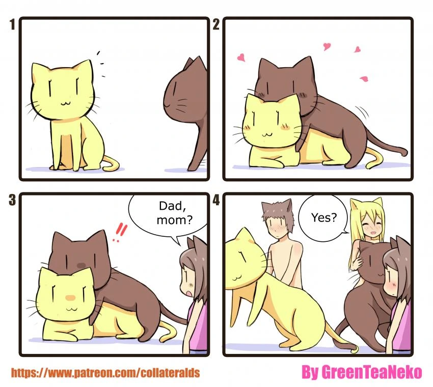 부부의 은밀한 취미 만화