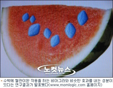 옆집 유부녀랑 수박먹는 만화 - 이미지 3
