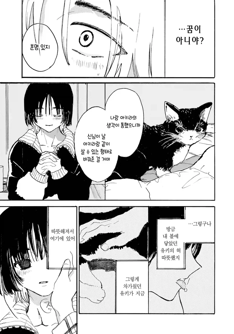 사고로 죽은 반려묘가 인간으로 환생해 내 앞에 나타난 만와.manga - 이미지 24