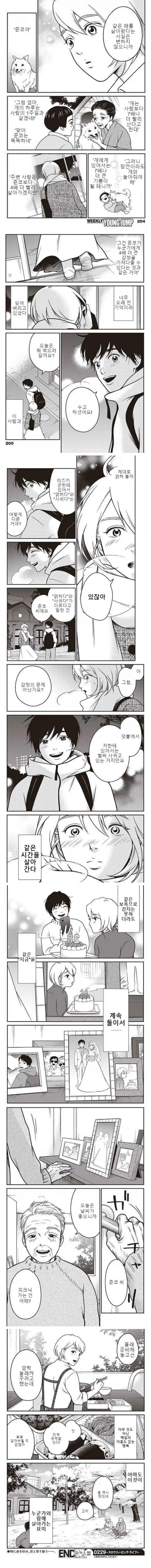 4년에 한 살씩 나이를 먹는 여자 만화.manga - 이미지 3