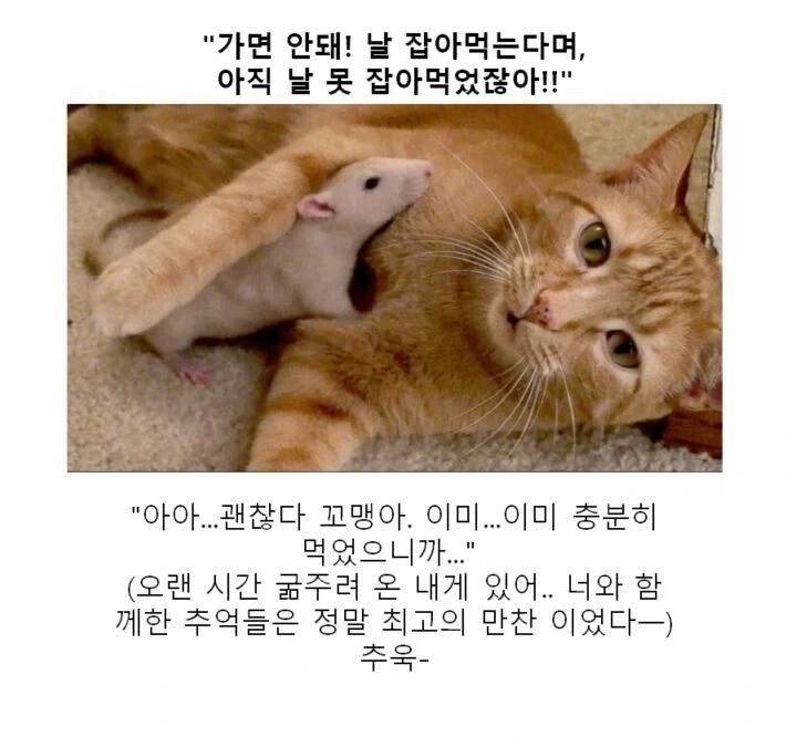 오싹오싹 히토미식으로 유부녀 협박하는.manhwa 대표 이미지